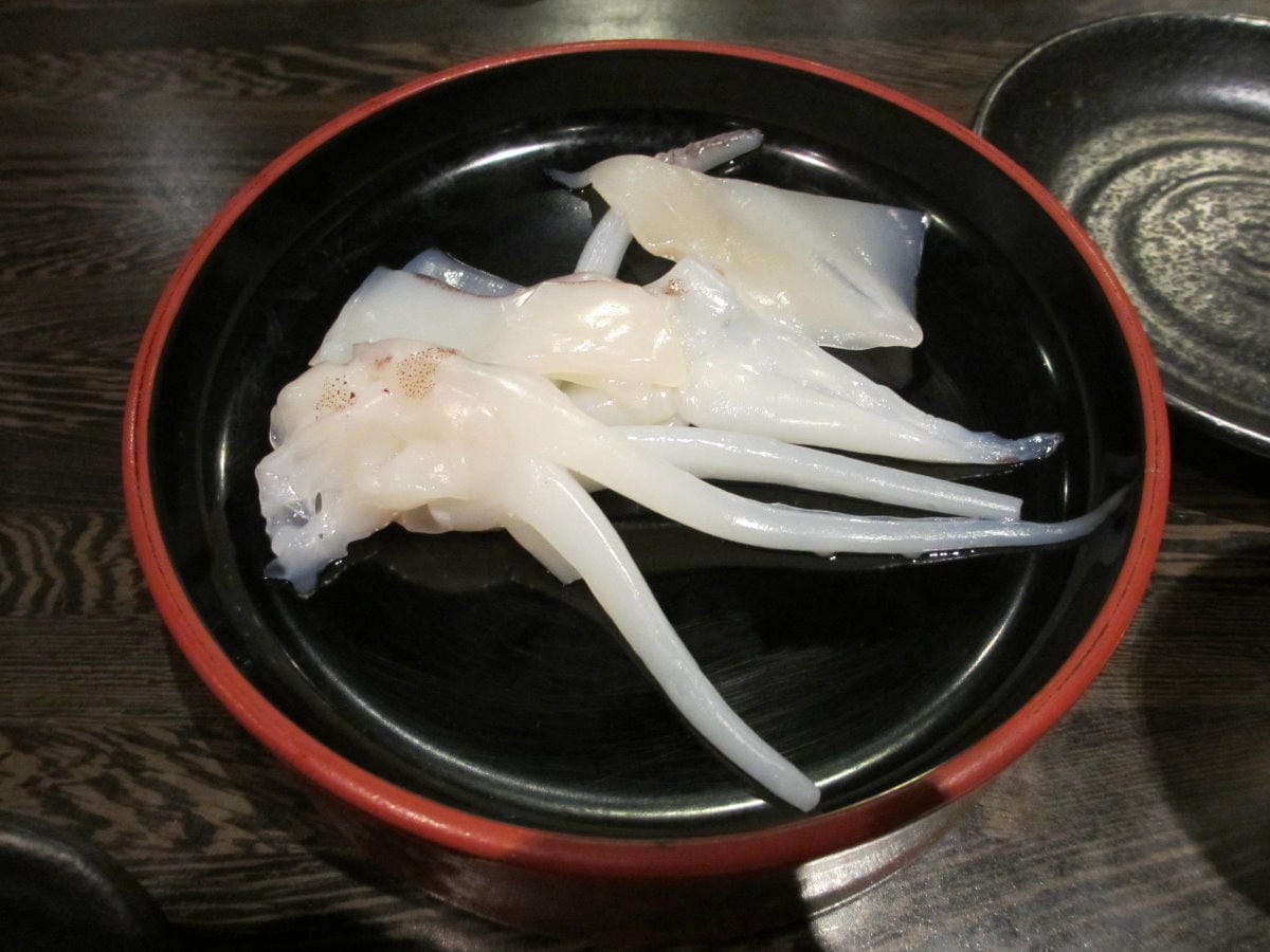 IMG_1576.JPG IMG_1576.JPG