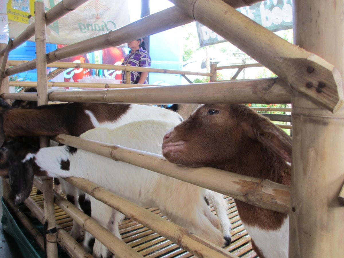 IMG_1808.JPG IMG_1808.JPG