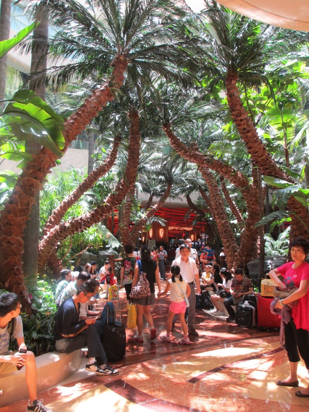 IMG_1237.JPG IMG_1237.JPG