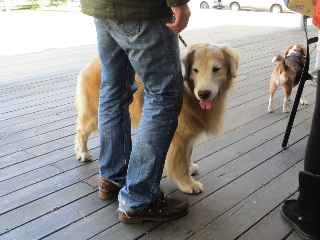 IMG_6270.JPG IMG_6270.JPG