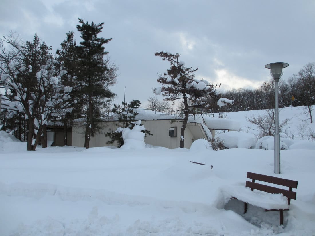 IMG_4736.JPG IMG_4736.JPG