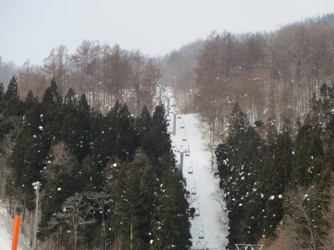 IMG_4842.JPG IMG_4842.JPG