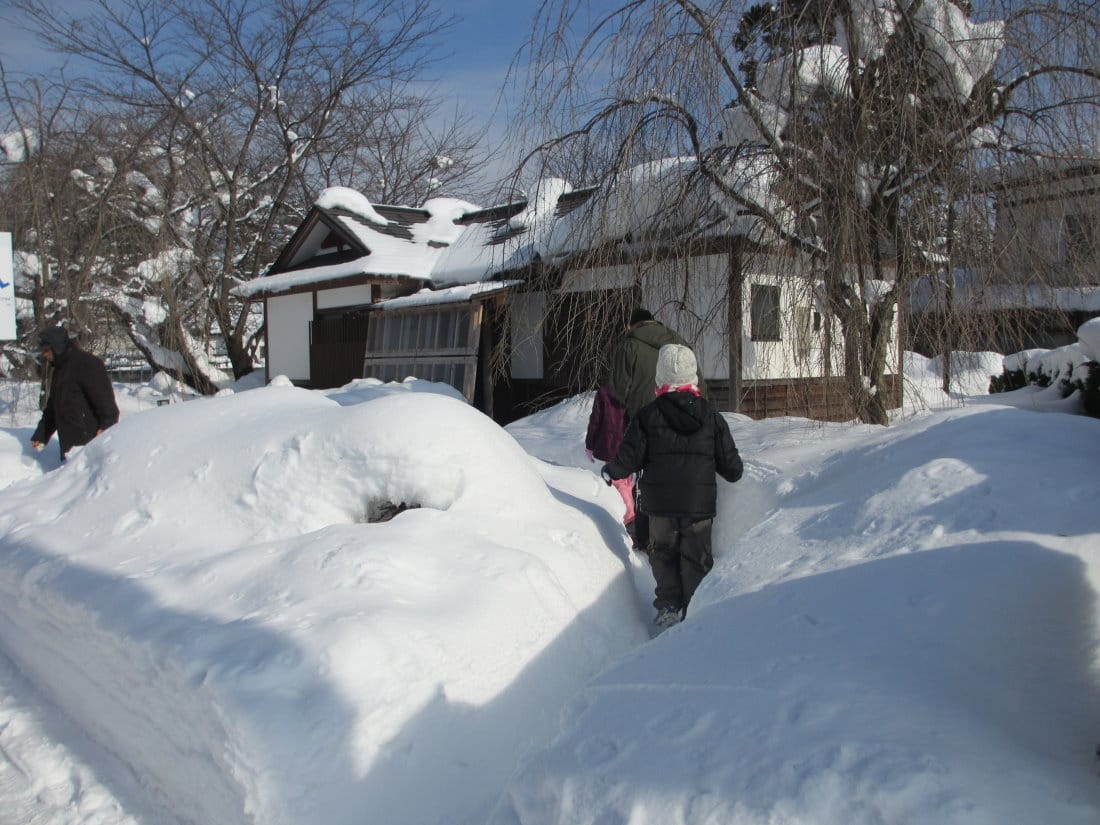 IMG_4895.JPG IMG_4895.JPG