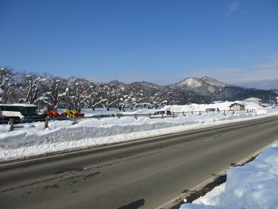 IMG_4896.JPG IMG_4896.JPG