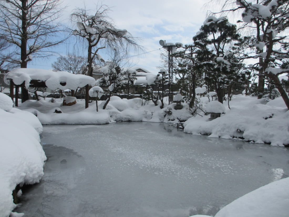 IMG_4923.JPG IMG_4923.JPG