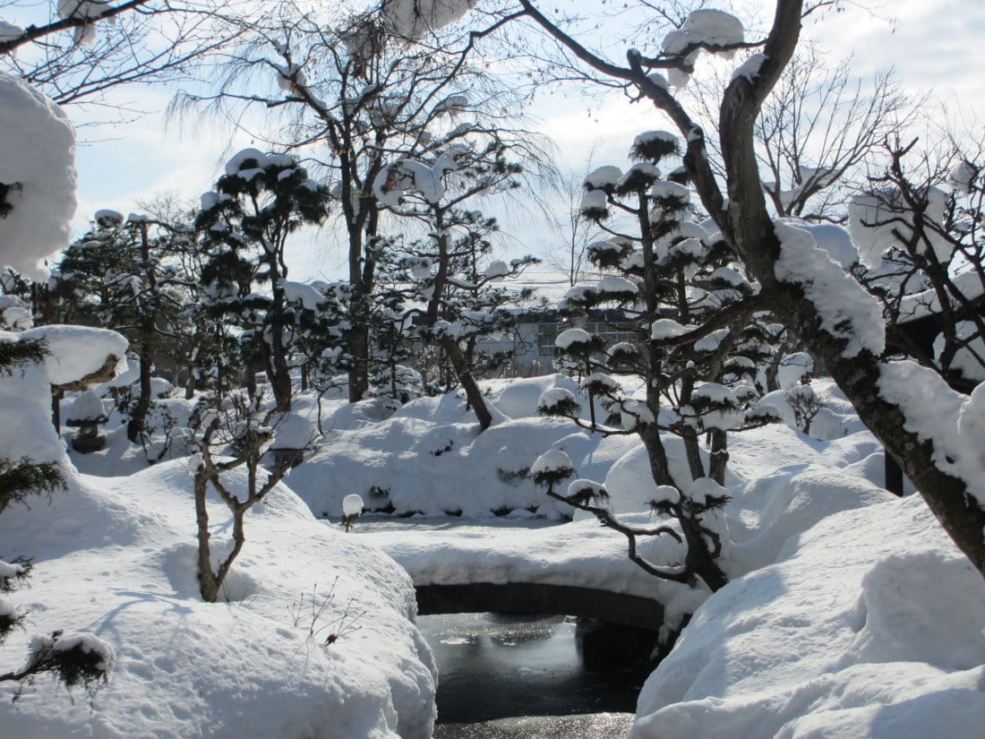 IMG_4905.JPG IMG_4905.JPG