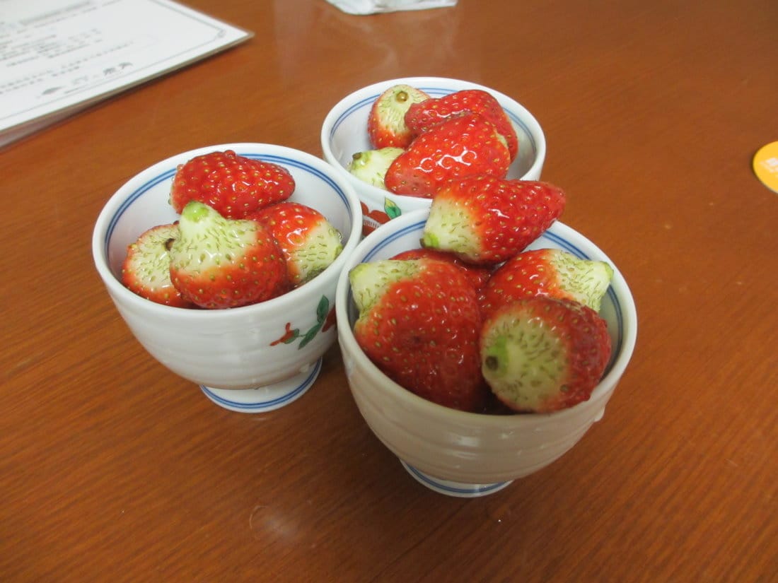 IMG_5109.JPG IMG_5109.JPG