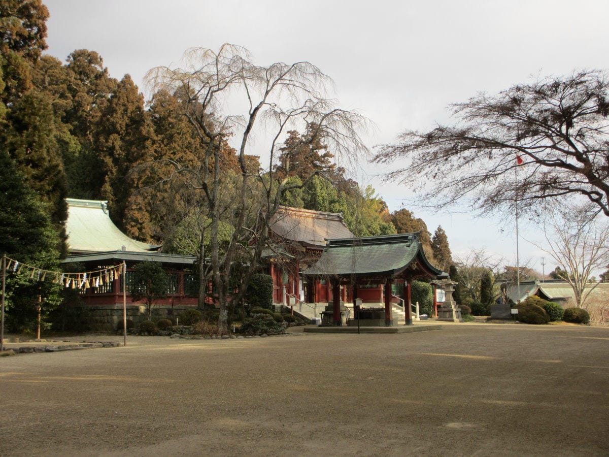 IMG_5319.JPG IMG_5319.JPG