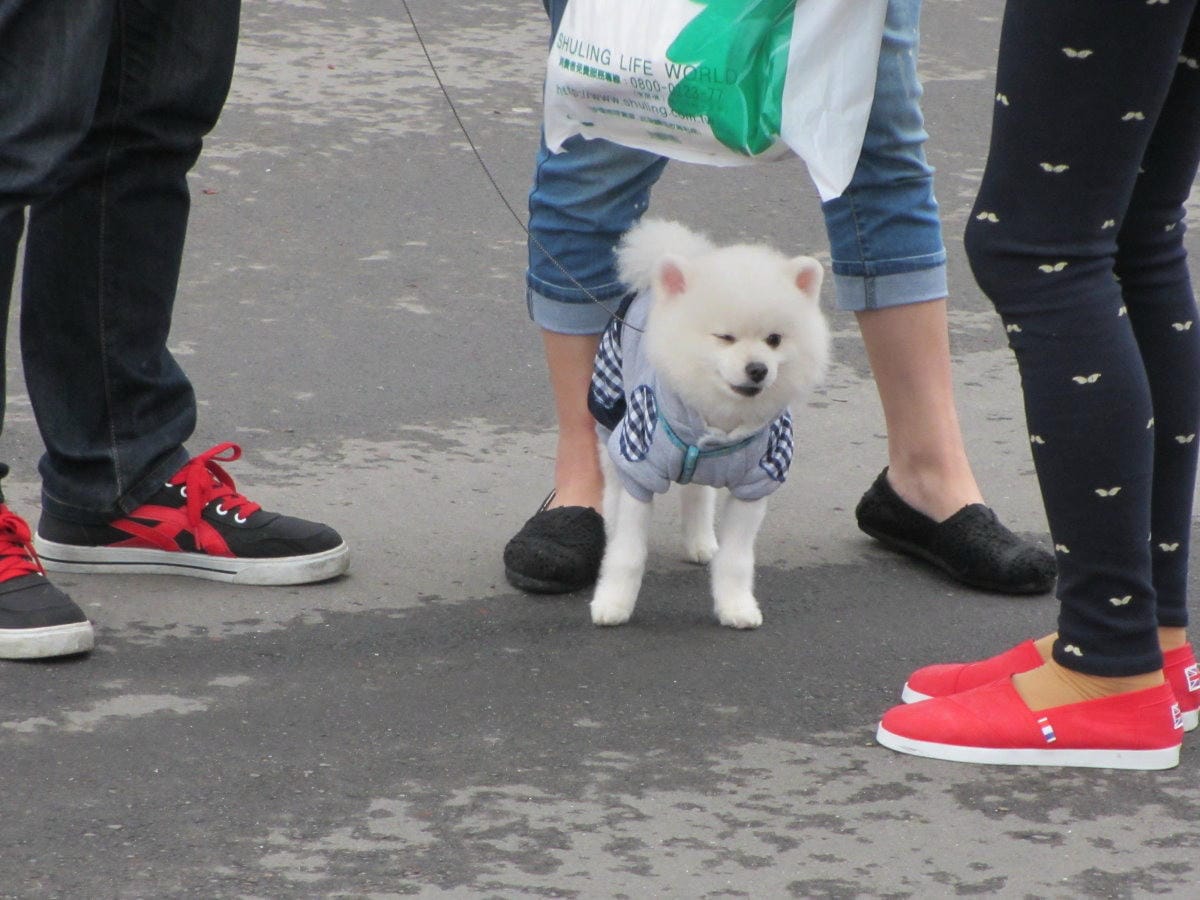 IMG_6185.JPG IMG_6185.JPG