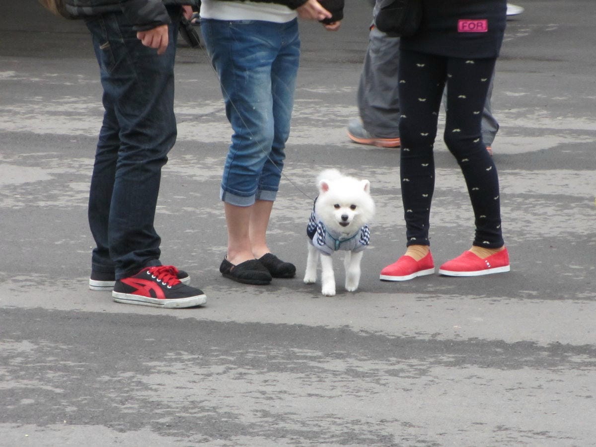 IMG_6184.JPG IMG_6184.JPG