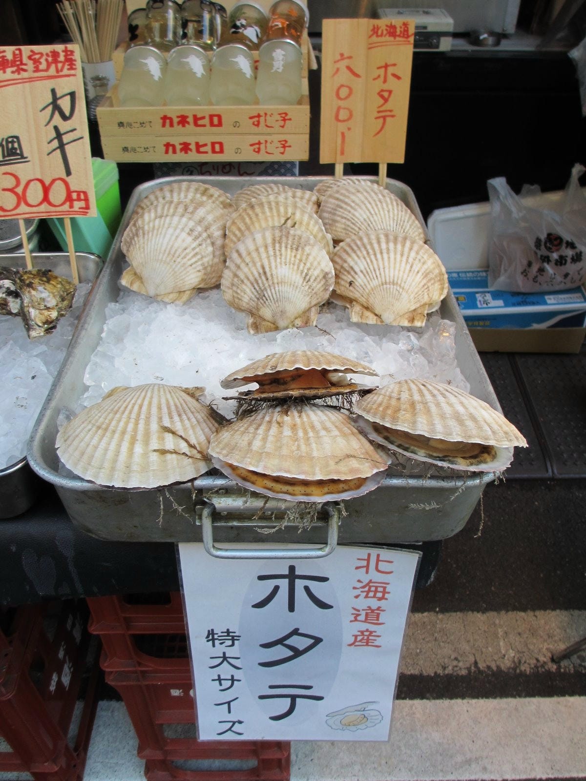 IMG_5811.JPG IMG_5811.JPG