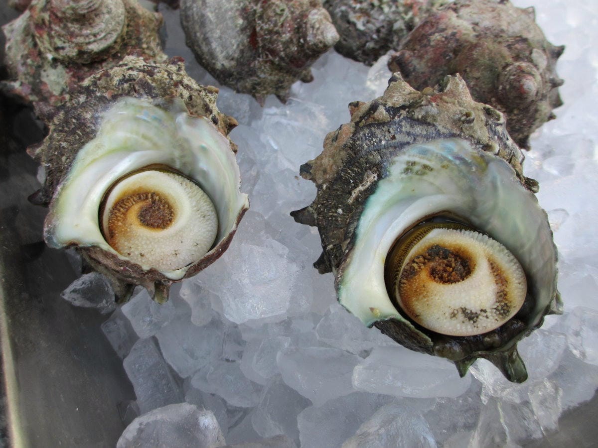 IMG_5826.JPG IMG_5826.JPG