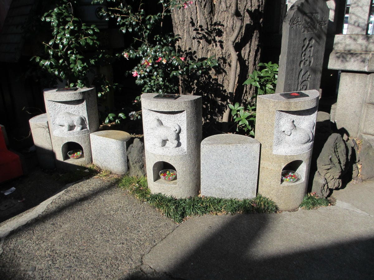 IMG_5794.JPG IMG_5794.JPG