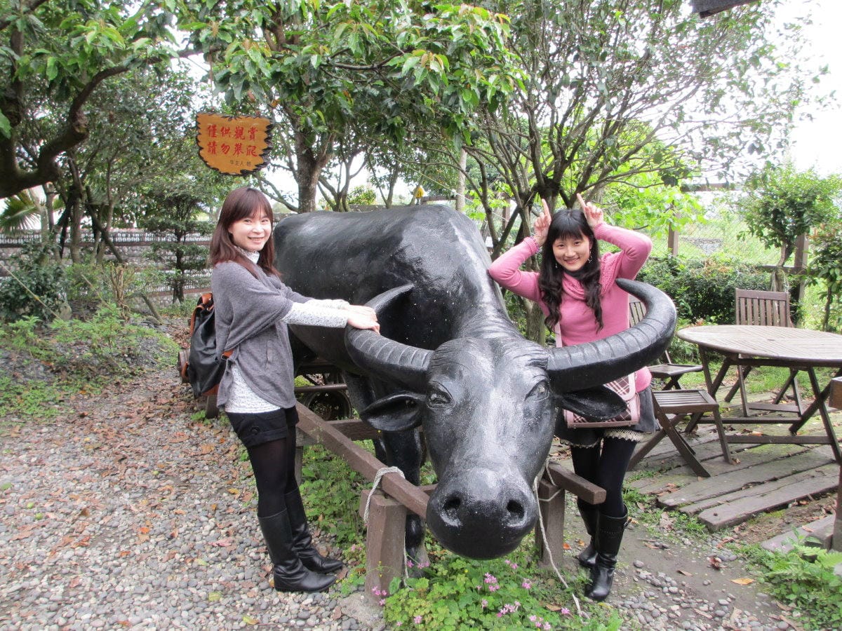 IMG_6575.JPG IMG_6575.JPG