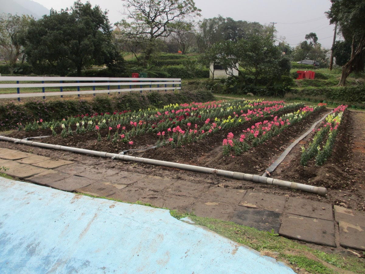 IMG_4478.JPG IMG_4478.JPG