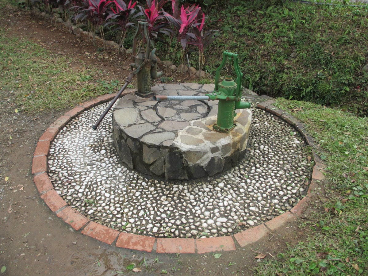 IMG_4462.JPG IMG_4462.JPG