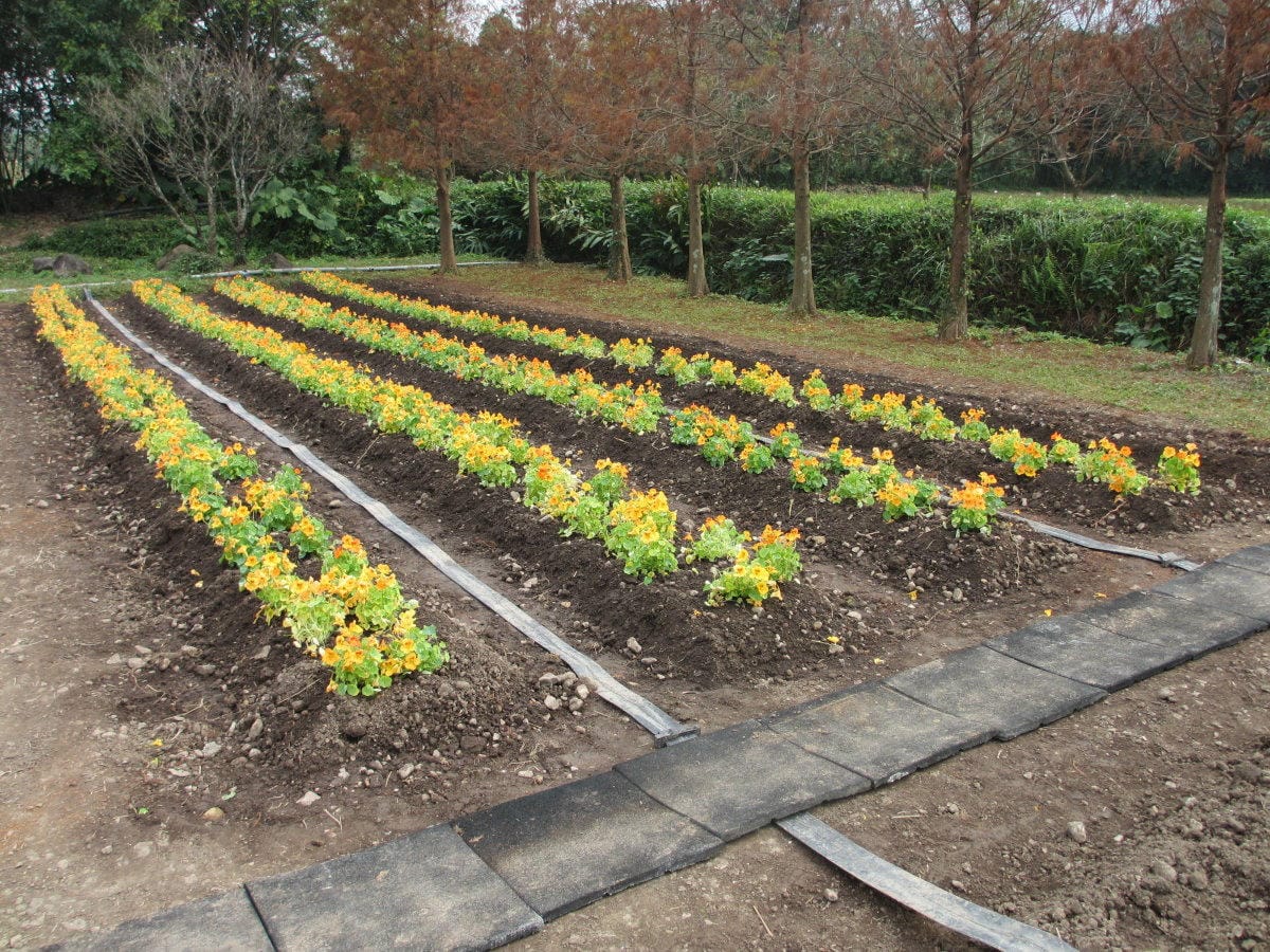 IMG_4480.JPG IMG_4480.JPG