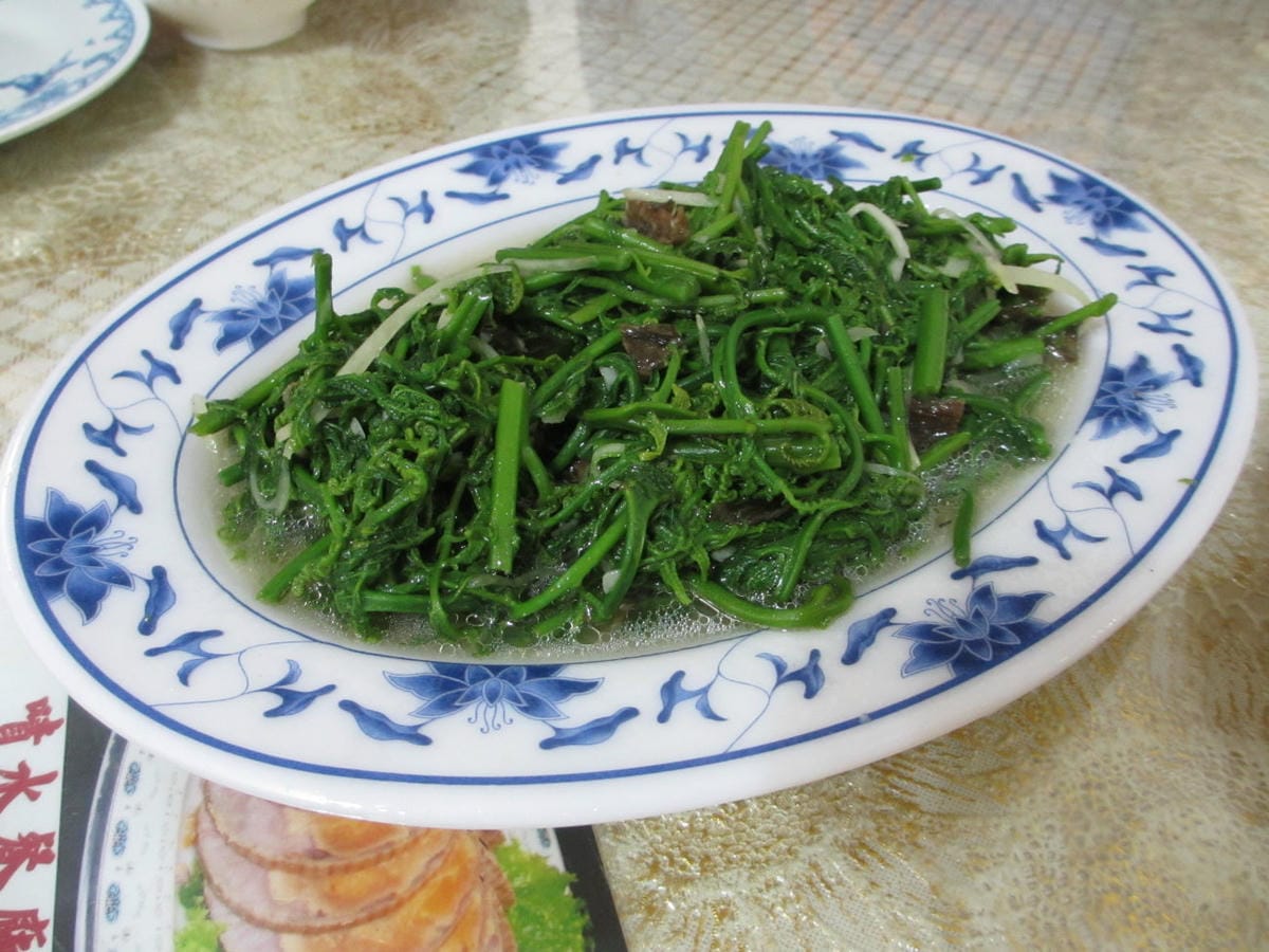 IMG_7273.JPG IMG_7273.JPG