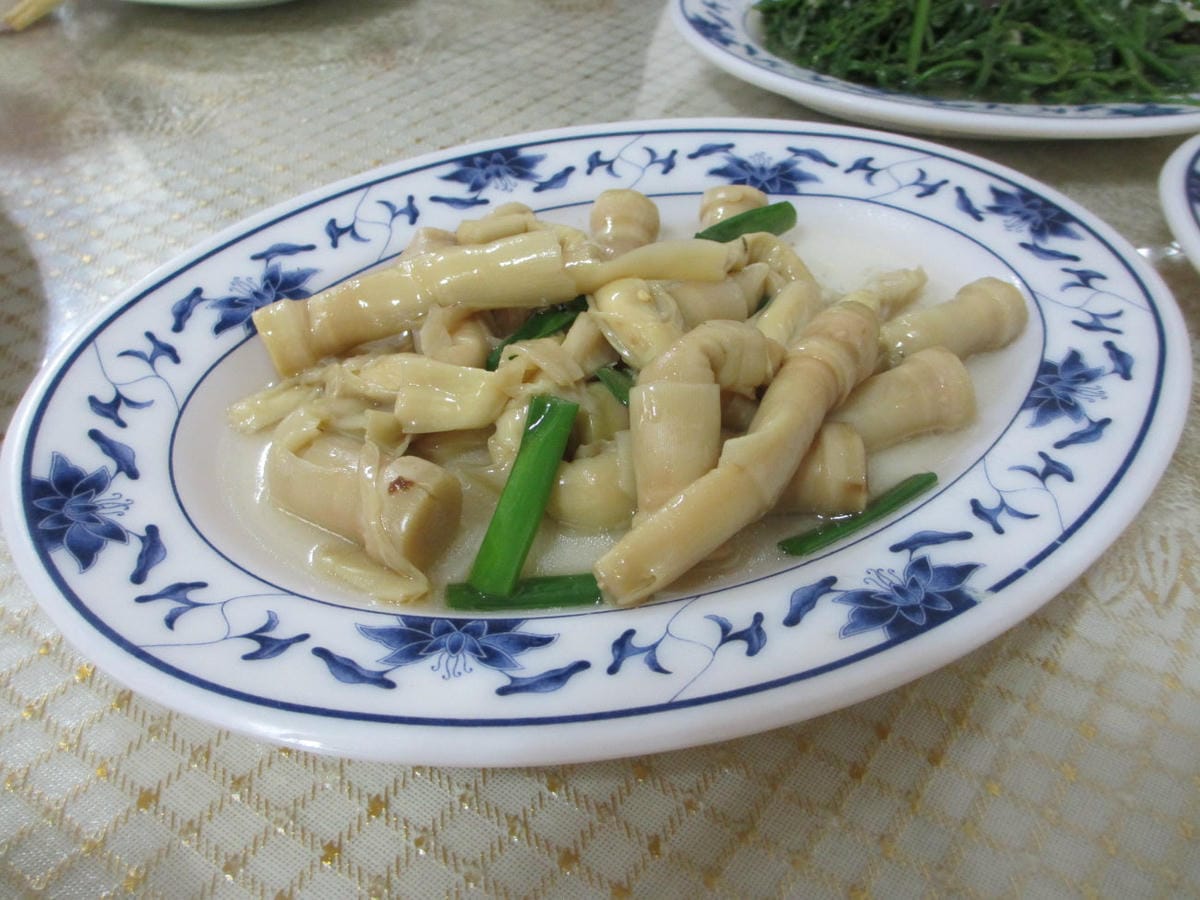 IMG_7274.JPG IMG_7274.JPG