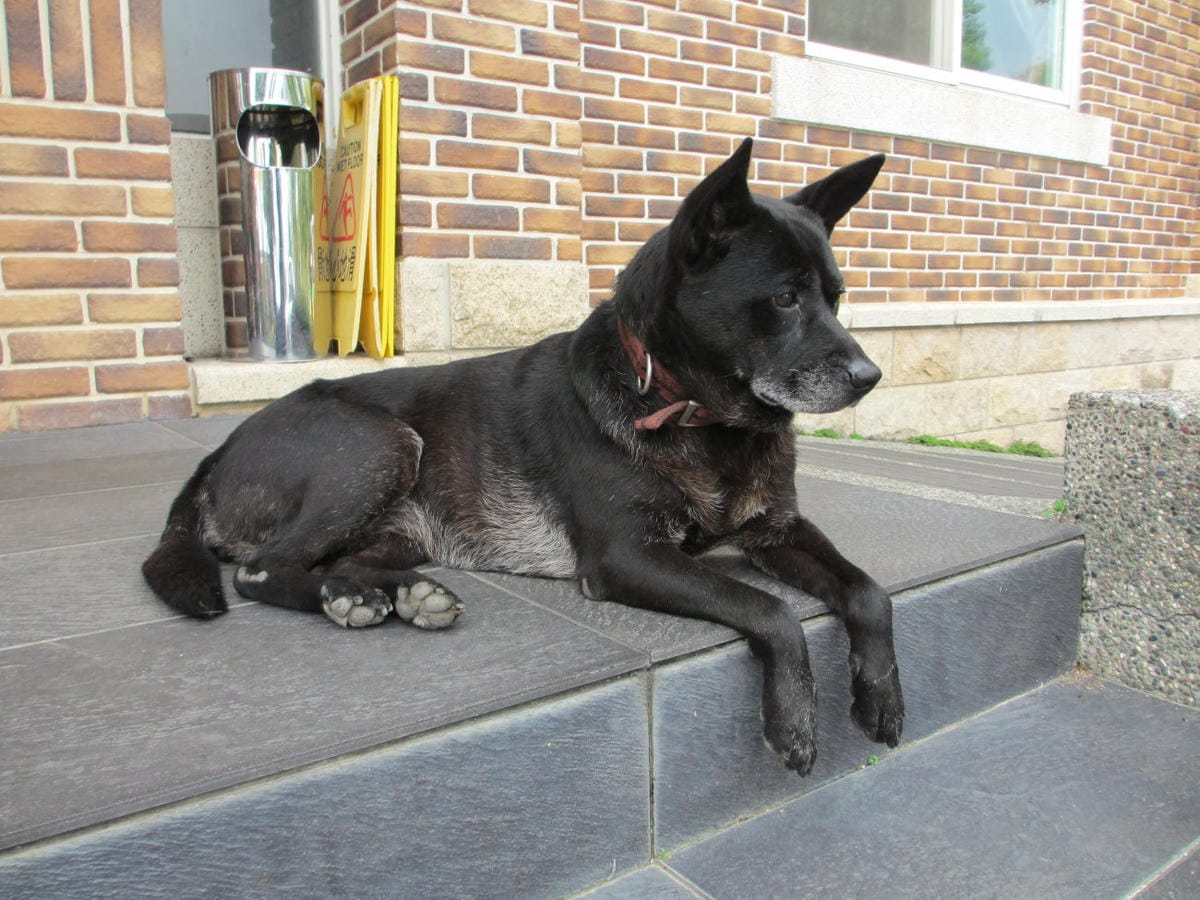 IMG_7315.JPG IMG_7315.JPG