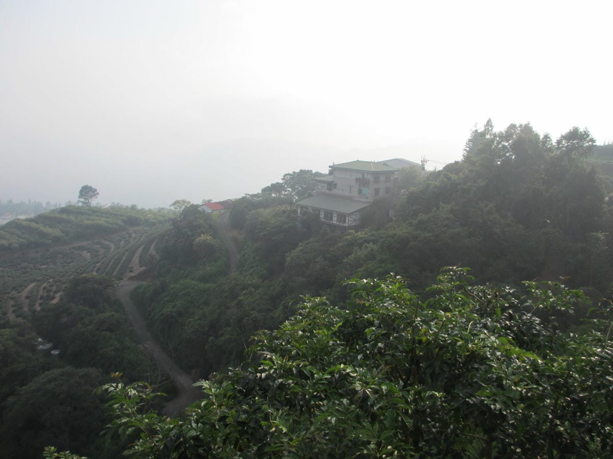 IMG_7362.JPG IMG_7362.JPG