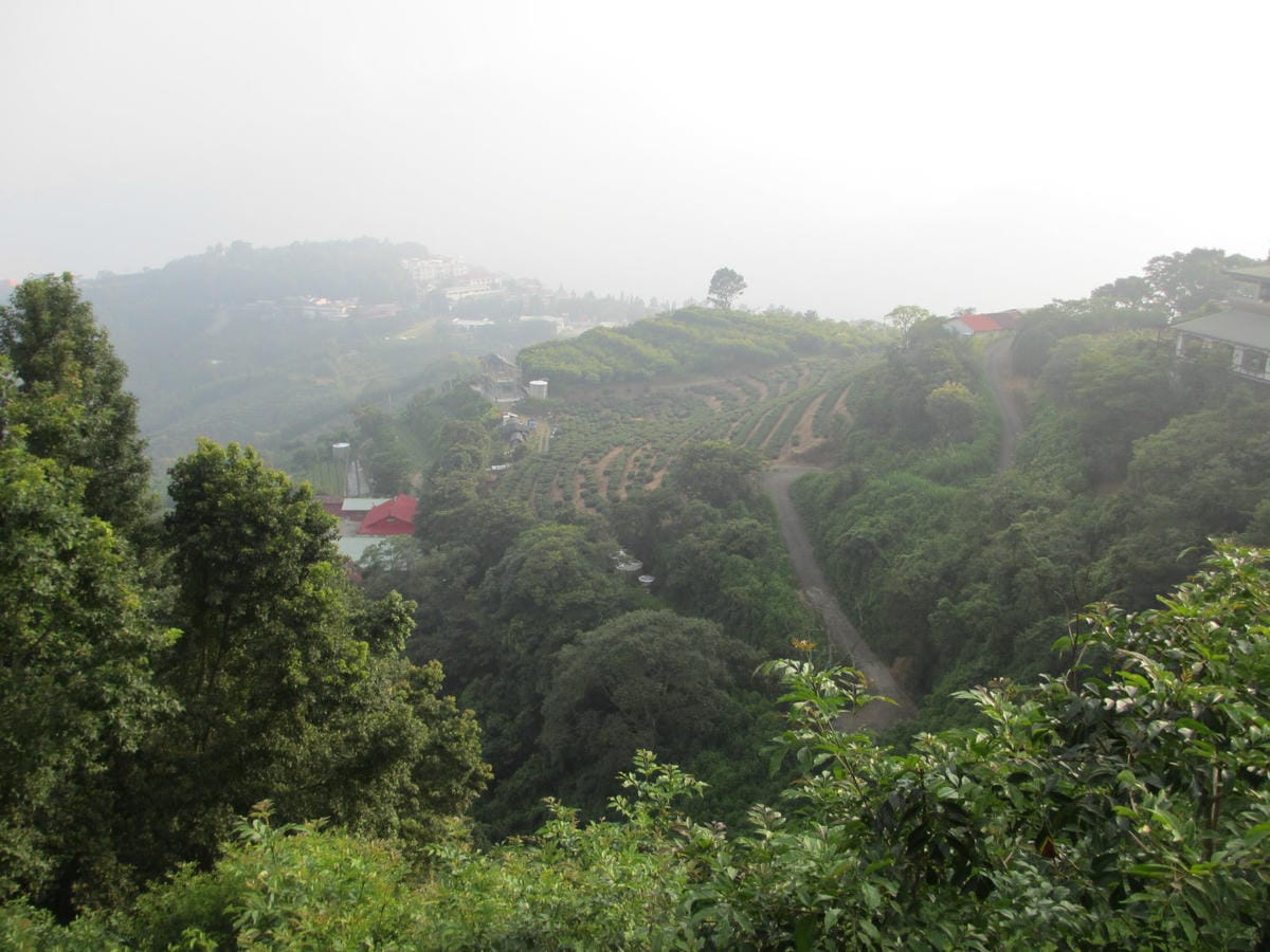 IMG_7361.JPG IMG_7361.JPG