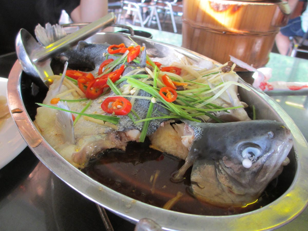 IMG_7374.JPG IMG_7374.JPG