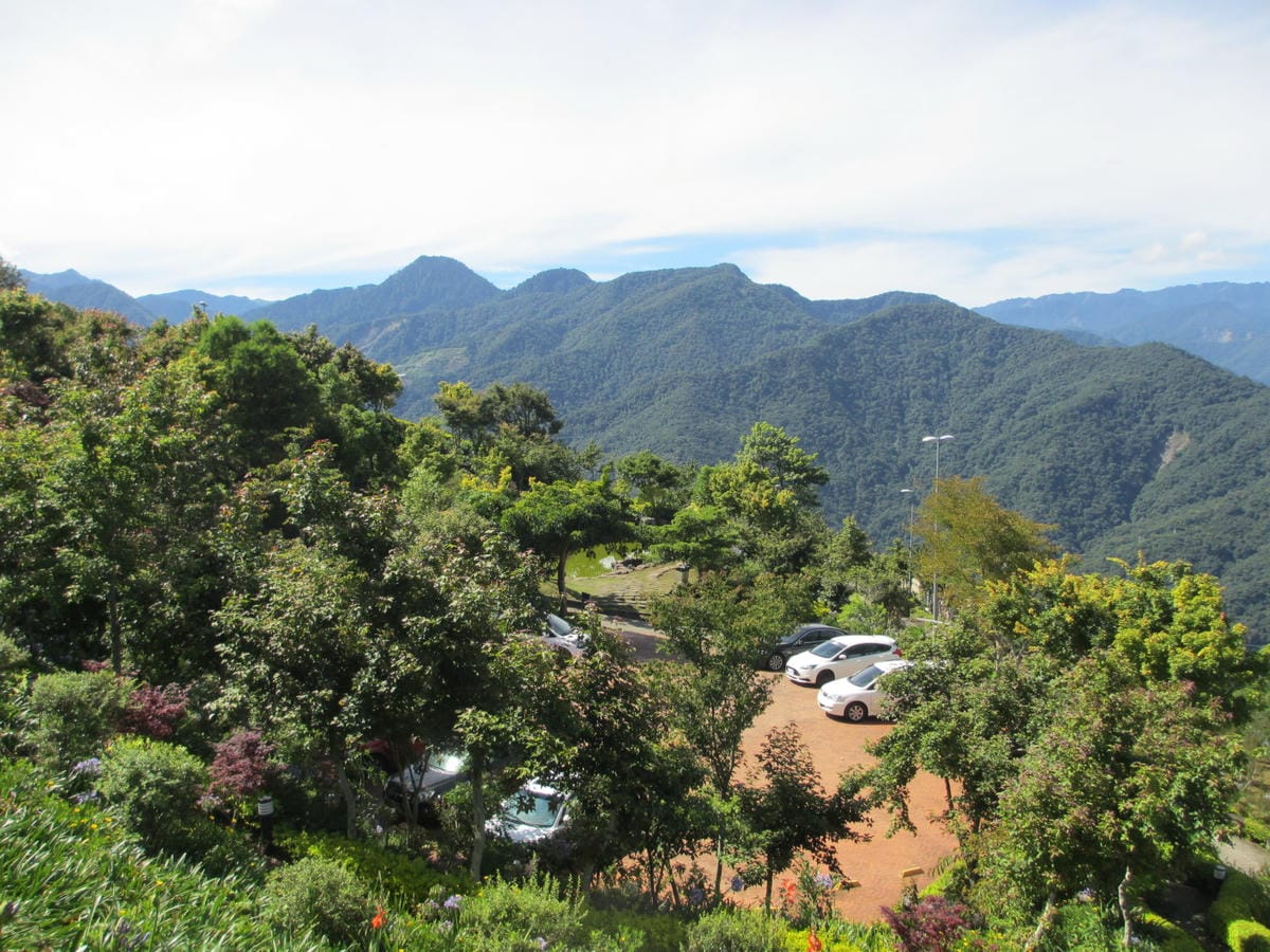 IMG_7397.JPG IMG_7397.JPG