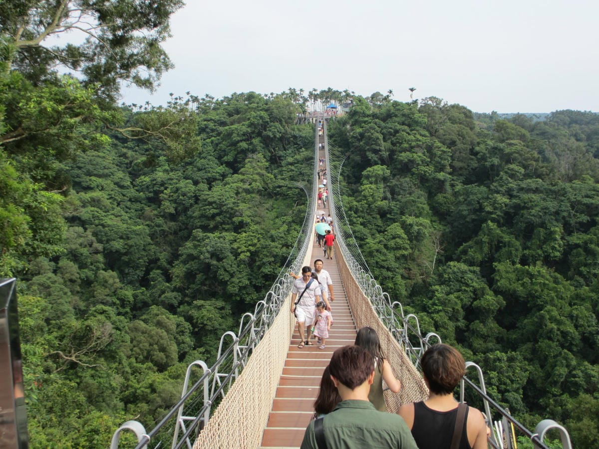 IMG_7459.JPG IMG_7459.JPG