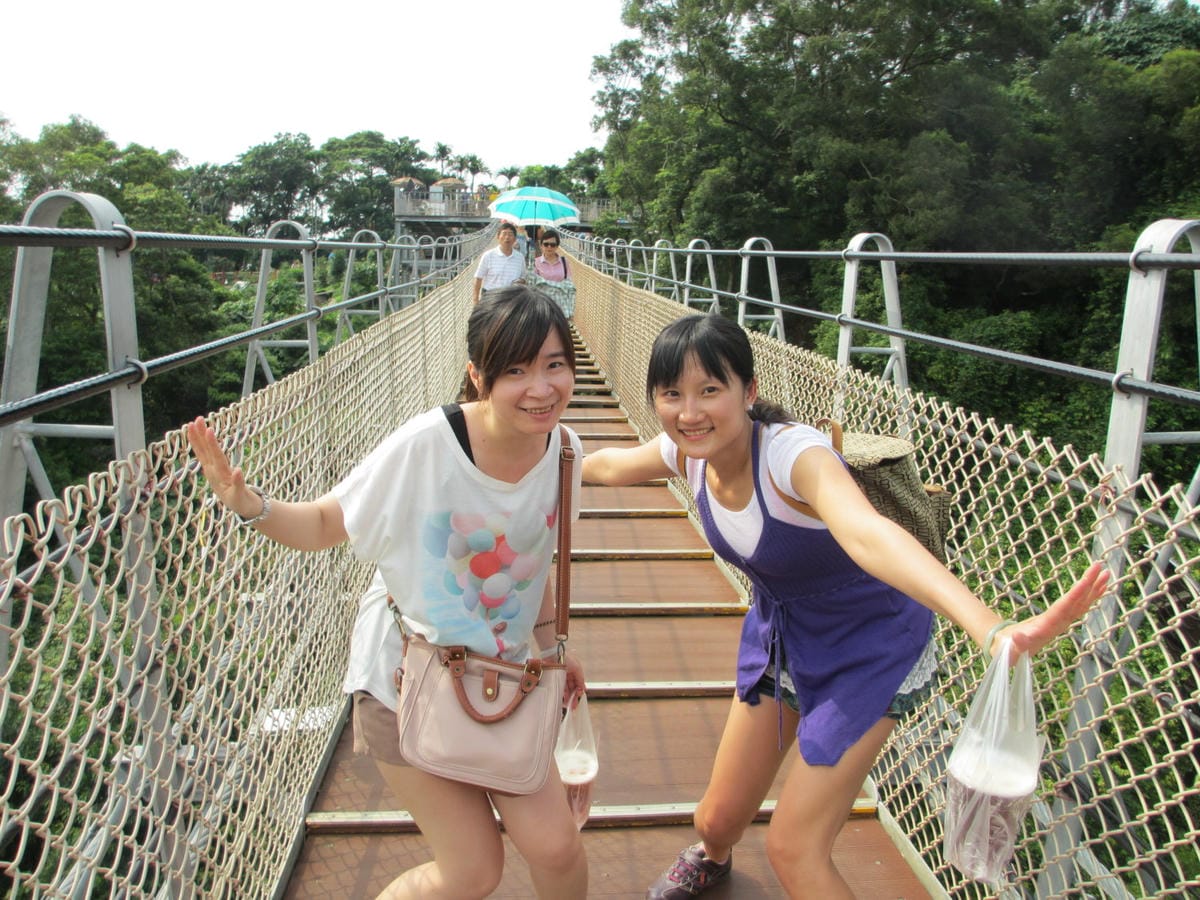 IMG_7462.JPG IMG_7462.JPG