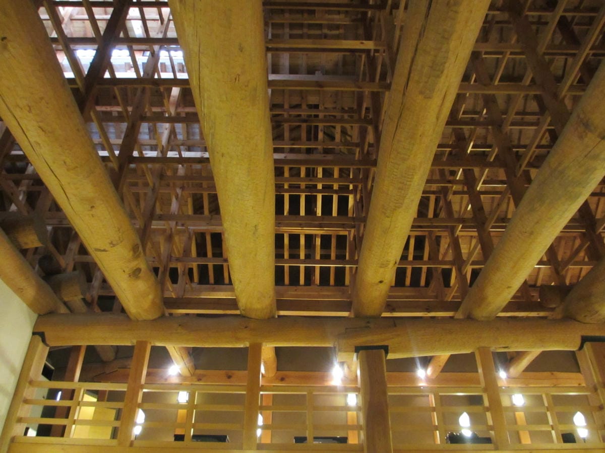 IMG_7958.JPG IMG_7958.JPG