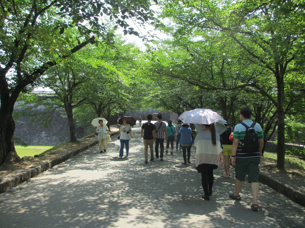 IMG_7942.JPG IMG_7942.JPG