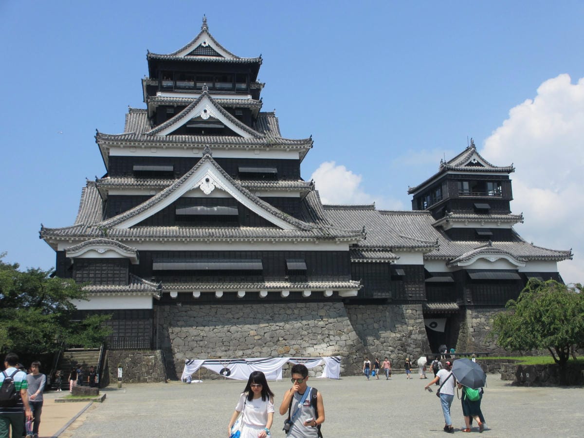 IMG_7955.JPG IMG_7955.JPG