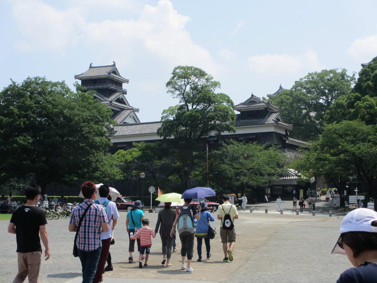 IMG_7945.JPG IMG_7945.JPG