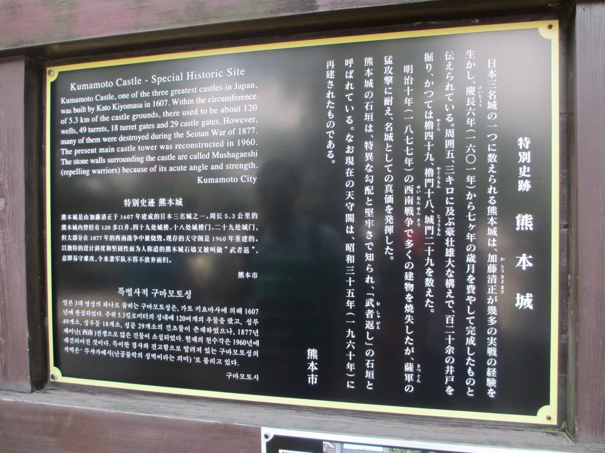 IMG_7950.JPG IMG_7950.JPG