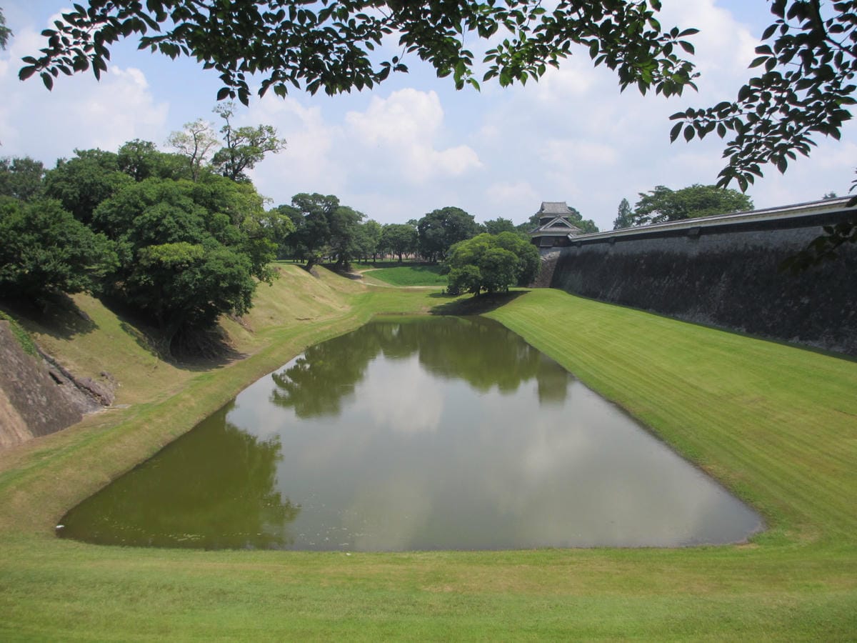 IMG_7944.JPG IMG_7944.JPG