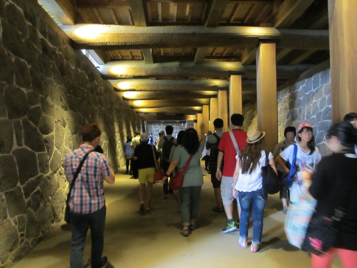 IMG_7954.JPG IMG_7954.JPG