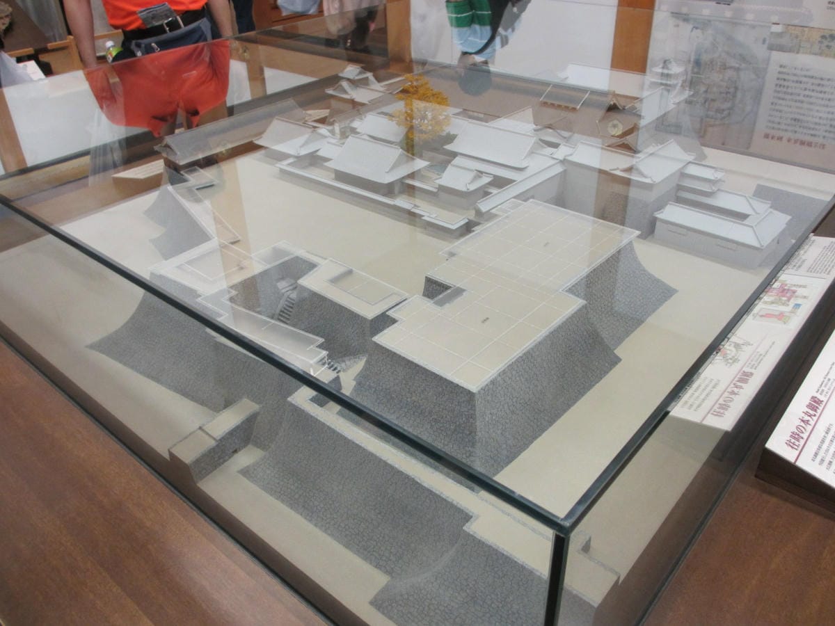 IMG_7956.JPG IMG_7956.JPG