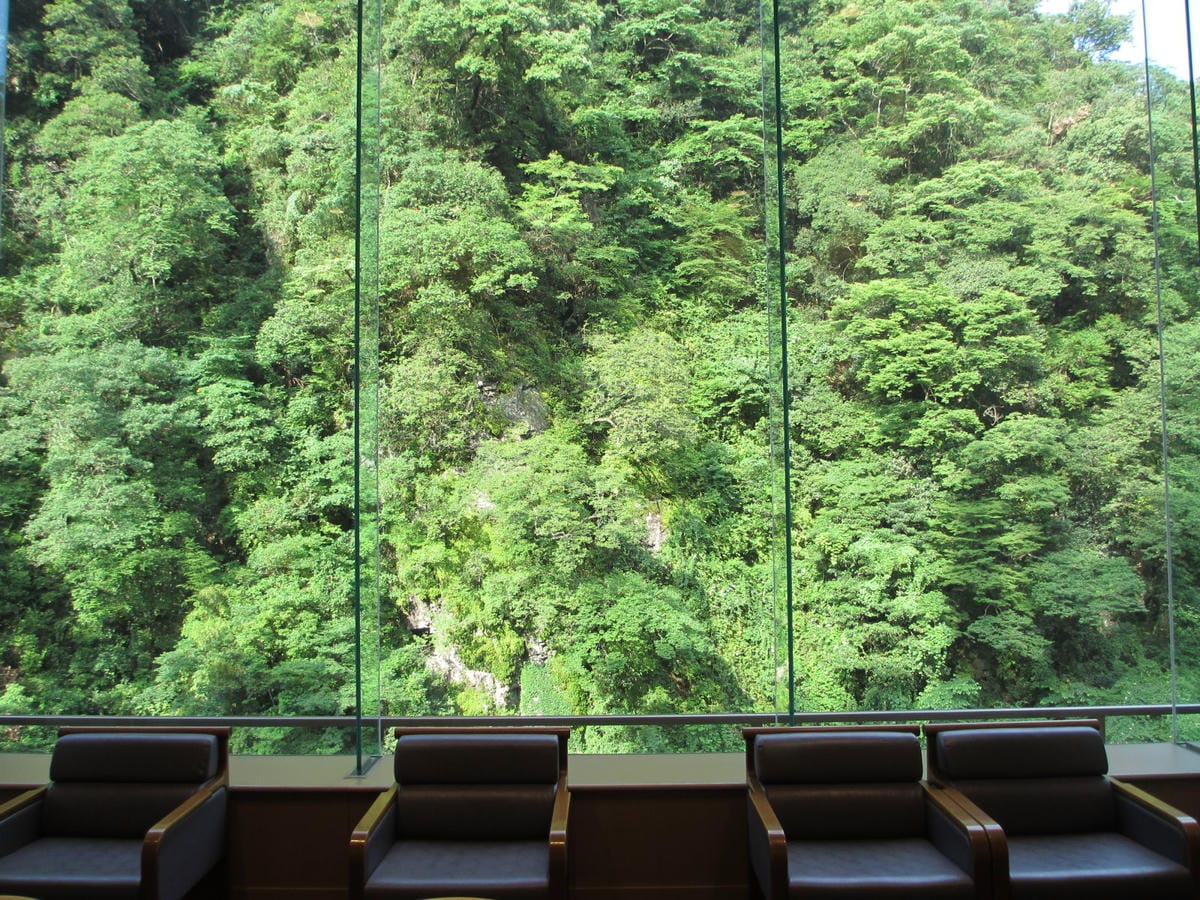 IMG_8118.JPG IMG_8118.JPG