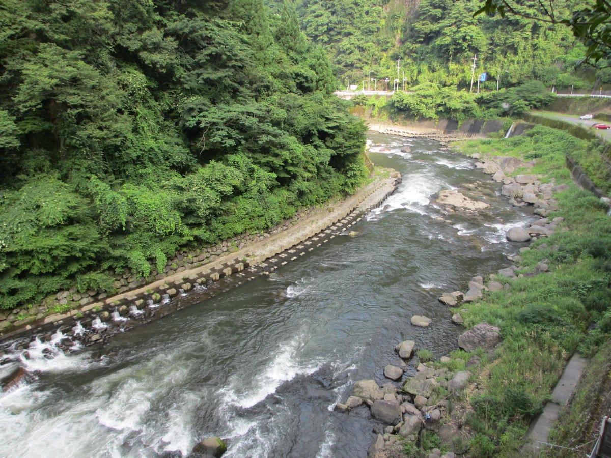 IMG_8110.JPG IMG_8110.JPG