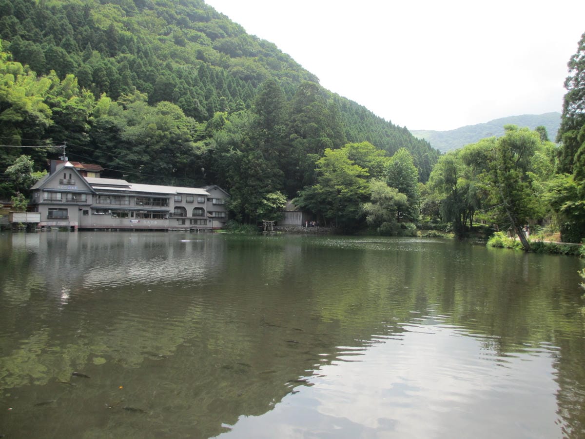 IMG_8172.JPG IMG_8172.JPG