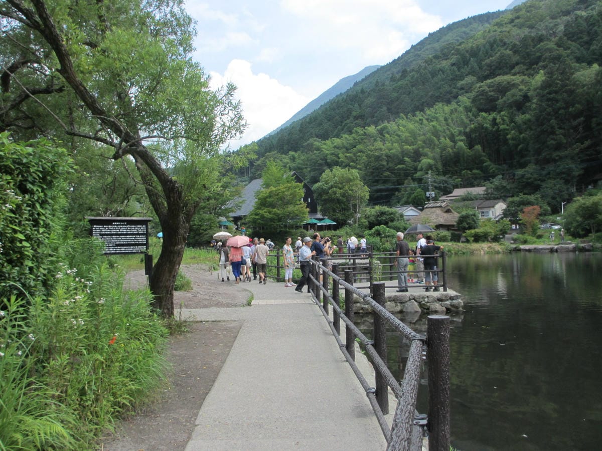 IMG_8177.JPG IMG_8177.JPG