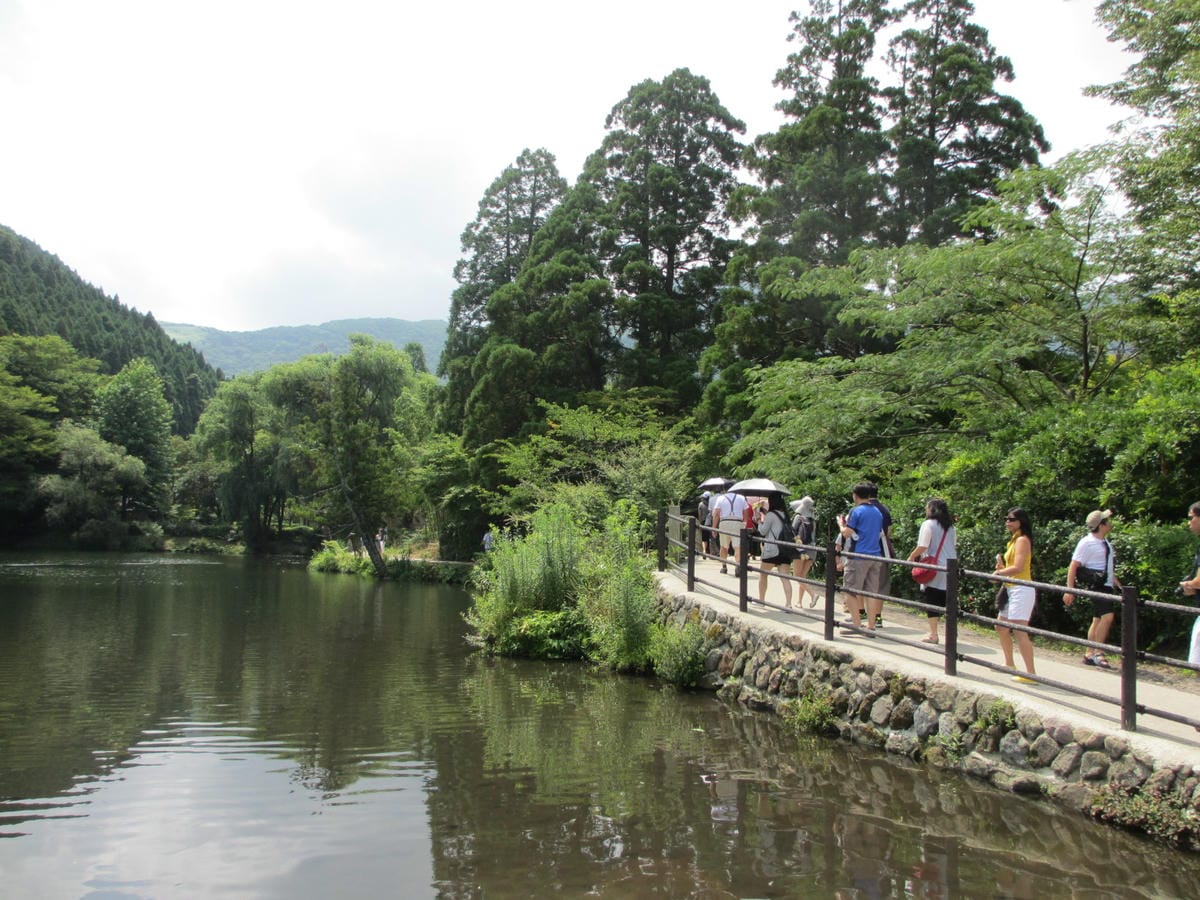 IMG_8173.JPG IMG_8173.JPG