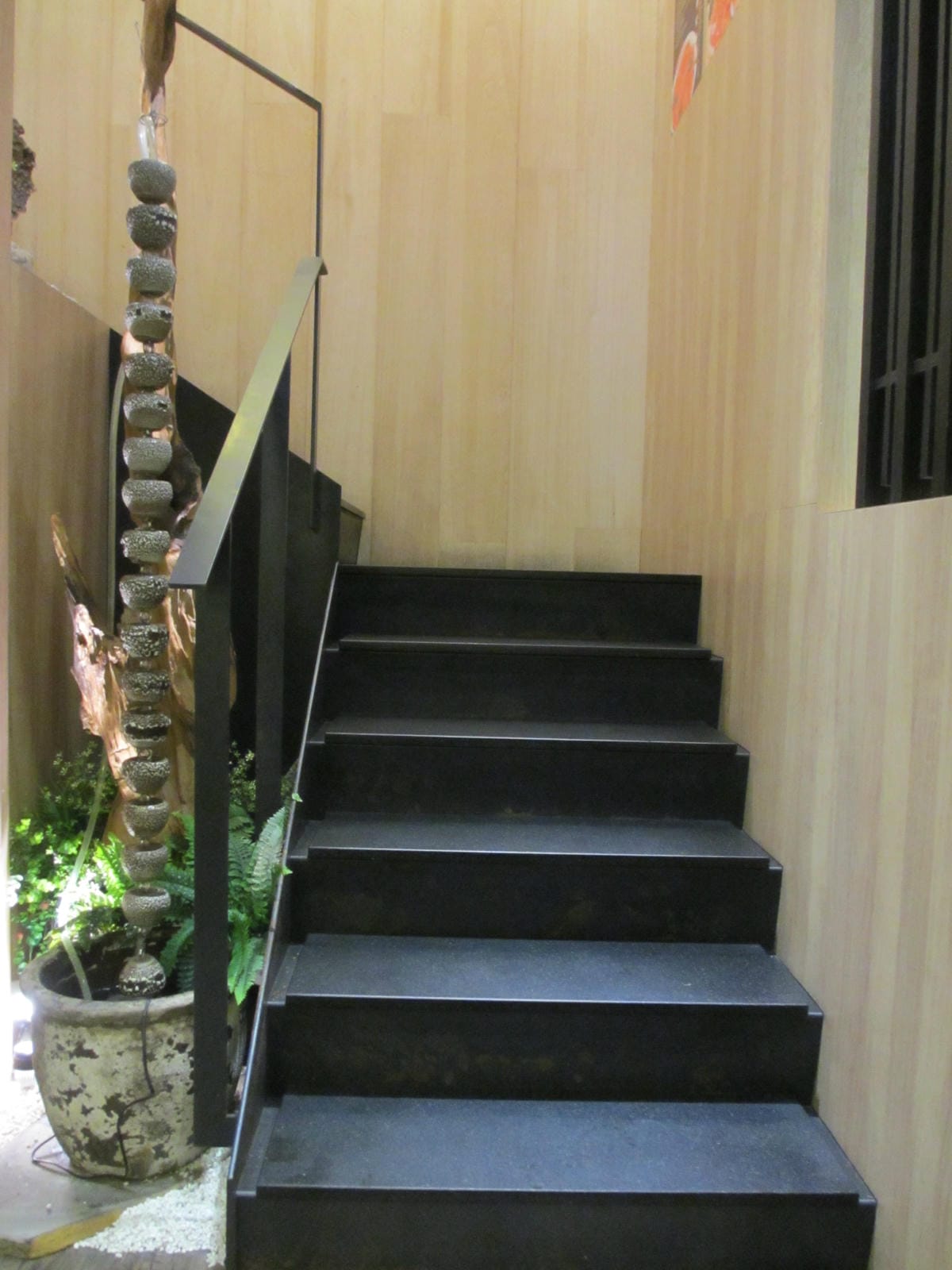 IMG_8946.JPG IMG_8946.JPG