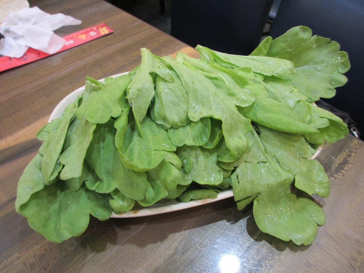 IMG_9021.JPG IMG_9021.JPG