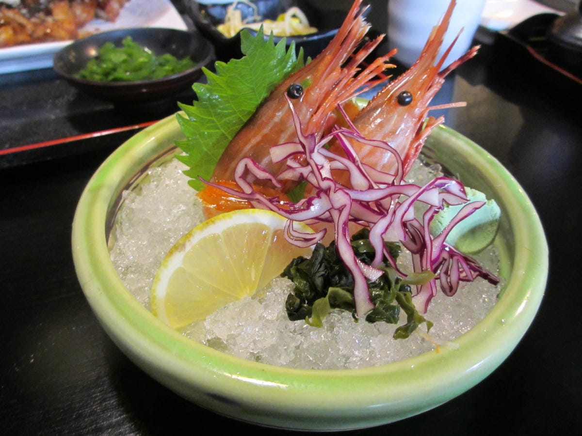 IMG_9176.JPG IMG_9176.JPG