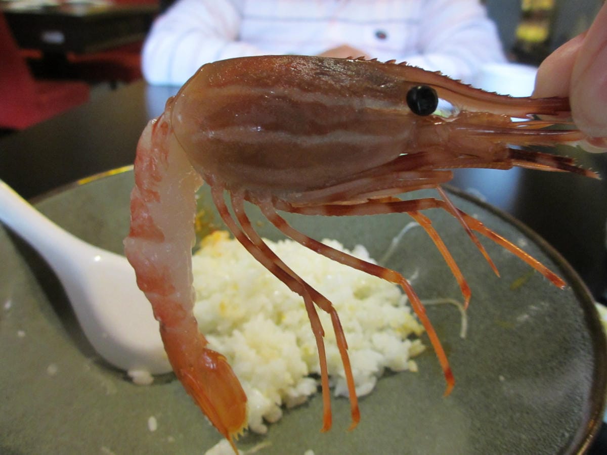 IMG_9184.JPG IMG_9184.JPG