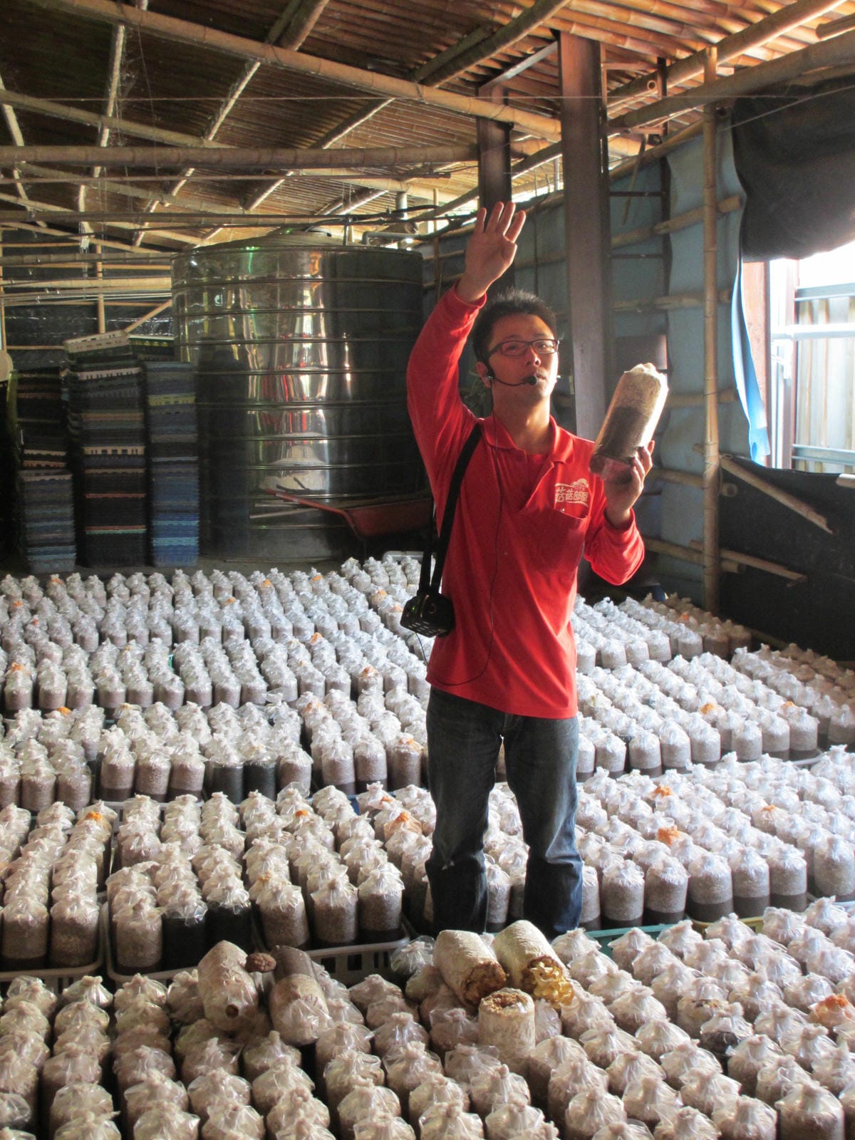 IMG_9206.JPG IMG_9206.JPG