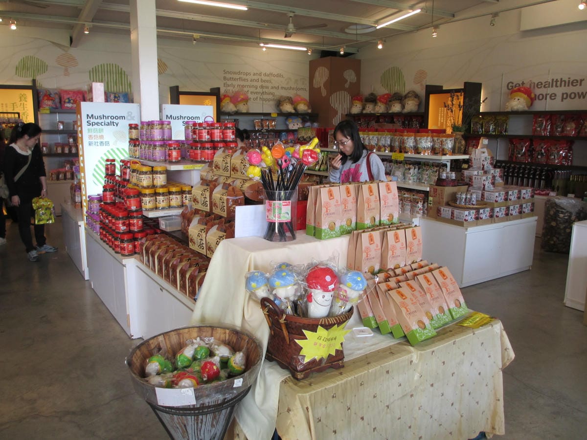 IMG_9218.JPG IMG_9218.JPG