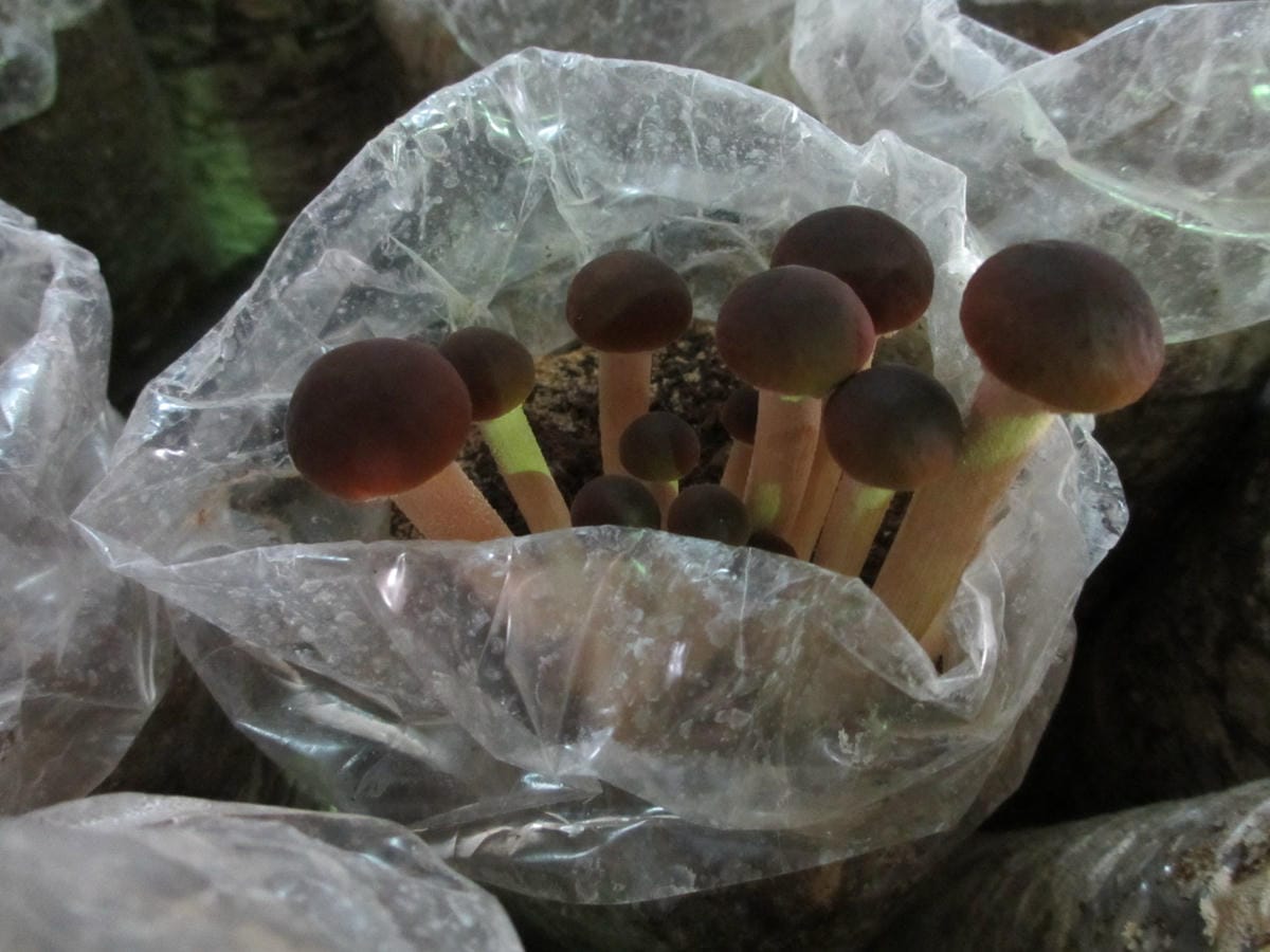 IMG_9212.JPG IMG_9212.JPG